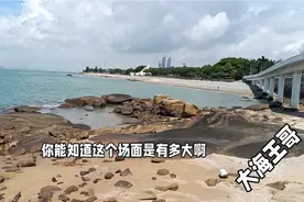 从厦门能清楚的看到台湾大旦二旦岛视频封面