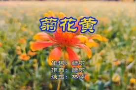 林萍《菊花黄》略带伤感 充满对逝去美好时光的回忆于怀念 情歌