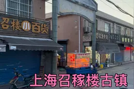 上海召稼楼古镇变化太大了，附近基本都拆迁完了，2028年可以开业