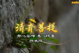 静心安神，宁静致远，养心纯音乐《清音菩提》-加长版视频封面