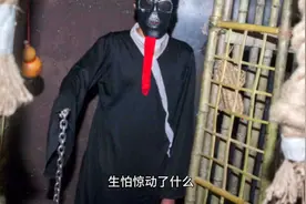 阁下何不乘风起，扶摇直上九万里视频封面