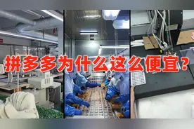 探访了3家拼多多爆款店铺！卖这么便宜到底赚钱吗？ 三家拍多多店视频封面