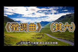 一起大声读〔徵〕，视频有正确读音哦视频封面