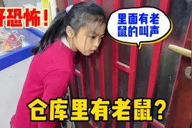 好恐怖啊！圆圆听到仓库里面有老鼠的叫声！赶紧叫爸爸过来抓视频封面
