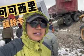 可可西里的藏羚羊，保护野生动物 人人有责视频封面