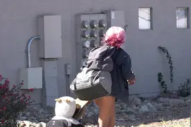 美国女流浪汉在找一个歇息的地方视频封面