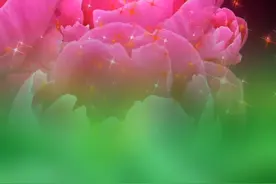 公主白雪王子还有7个小矮人的故事视频封面