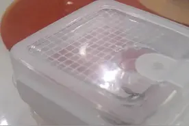 断了腿的幽灵螳螂视频封面