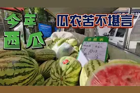 视觉557，宁夏西瓜盛产，销售减半，不到五毛钱一斤 瓜农苦不堪言
