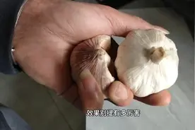 把大蒜放鼻子里，效果别提多厉害，可惜好多人不懂，学会受益一生视频封面