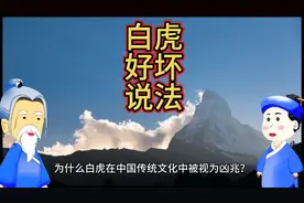 传统文化中的白虎为什么说是凶星，如何转化成吉呢？视频封面