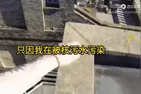 蹲坑爽看【人类赛尔】只因我在核水被污染的海里潜了个水还没视频封面