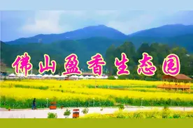 佛山盈香生态:这里山清水秀，四季皆让您充分感受大自然的魅力。视频封面