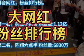 大网红抖音粉丝排行榜视频封面