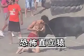 当肾上腺素飙升，人类就会变成恐怖直立猿视频封面