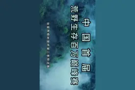 张家界，荒野生存第一天视频封面