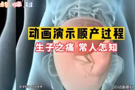 动画演示顺产过程，生子之痛，常人怎知，请好好珍惜你的妻子视频封面