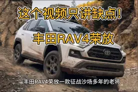 这个视频只讲缺点！丰田RAV4荣放视频封面