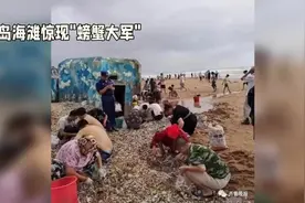 青岛海滩突现“螃蟹海啸”：一夜之间，螃蟹铺天盖地！