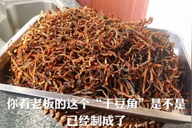 老板教你家庭晒制干豆角以及保存方法。快点来学做，冬天炖肉喷香