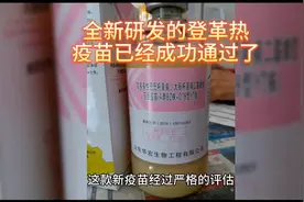 全新研发的登革热疫苗已经成功通过了