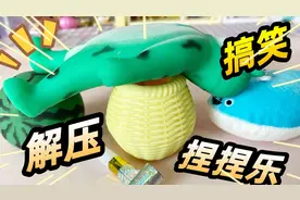 太好笑了！各种奇怪解压的捏捏，尤其那只傻青蛙！
