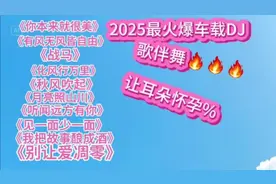 2025最火爆车载DJ 《你本来就很美》《化风行万里》《战马》