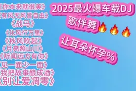 2025最火爆车载DJ 《你本来就很美》《化风行万里》《战马》