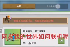 我的世界：网易我的世界有两种联机方式，最后一种要花钱的