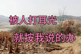 被人打一个耳光，怎么办？教你正确处理