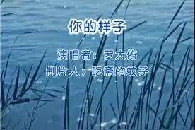 经典老歌回顾《你的样子》完整版视频封面