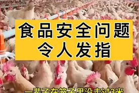 中国的食品安全问题，令人发指！视频封面