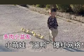 东北小萌娃“花式溜鸭”爆红了网络，呆萌可爱，萌翻了众多网友！视频封面