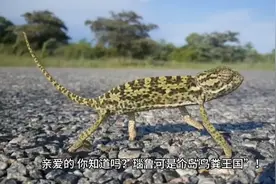 世界第三小的国家视频封面