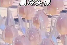 高冷头像视频封面