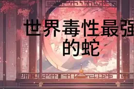 世界毒性最强的蛇视频封面