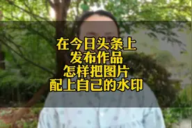 在头条上发布作品，发图片要配上自己的水印，不能出现别人的水印视频封面