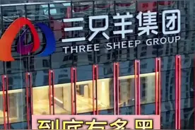 揭密三只羊集团视频封面