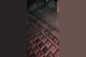 法国不吃早餐视频封面