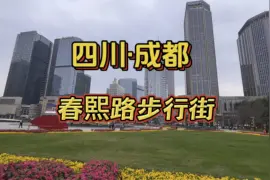 四川成都春熙路步行街，被称为百年金街，网红爬墙熊猫很可爱
