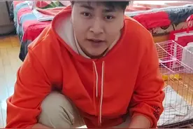 领养猫咪一定要留身份证信息，出租房坚决不给领养