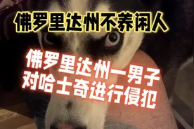 佛罗里达一男子对哈士奇进行侵犯被抓入狱