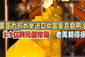 美国为何大举进口中国废弃食用油？3.9亿美元市场，老美太精了视频封面