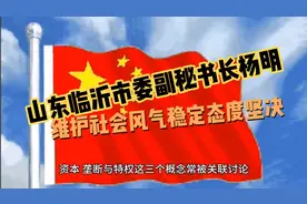 山东临沂市副秘书长杨明，维护社会风气稳定态度坚决视频封面