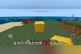 我的世界金块重量视频封面