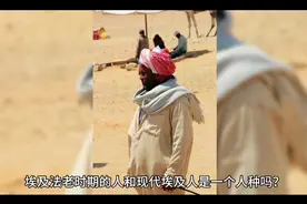 埃及法老时期的人和现代埃及人是一个人种吗？视频封面