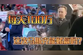 每天抽送100万美元，马斯克能赌赢吗。（完结）