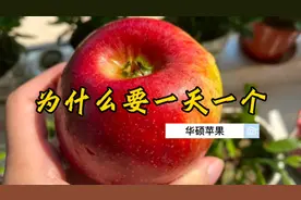为什么要每天一个——华硕苹果视频封面