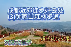成都近郊徒步好去处(3)钟家山森林步道，超长沉浸式徒步实录