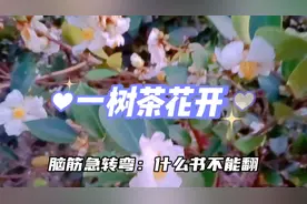 脑筋急转弯另类解读284：什么书不能翻？